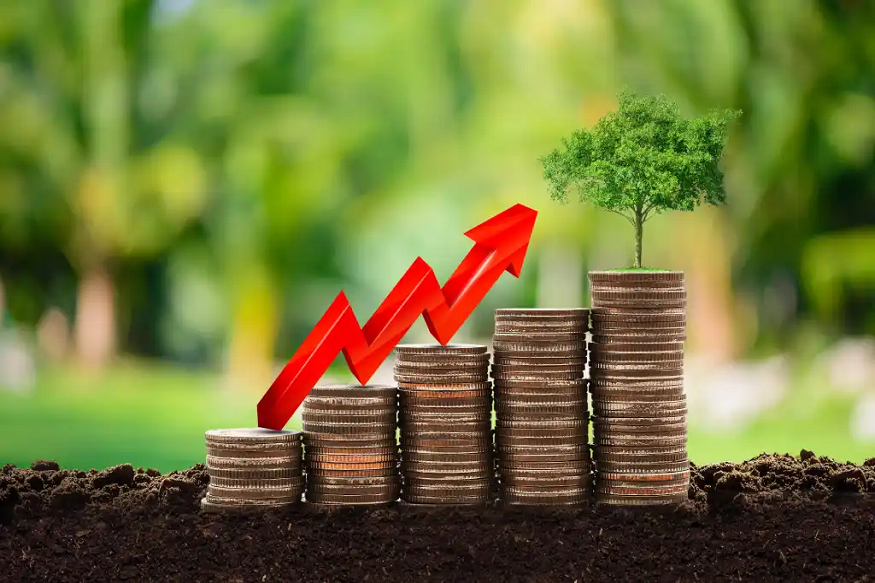 Income vs. Growth